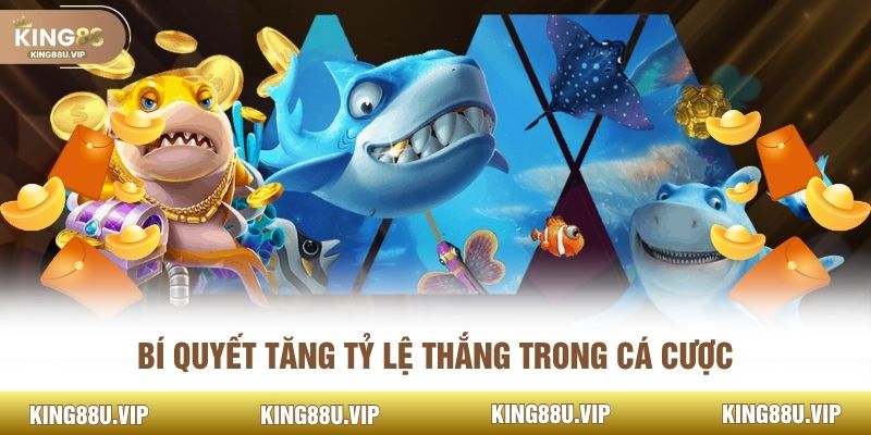 Bí quyết tăng tỷ lệ thắng trong cá cược 