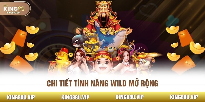 Chi tiết tính năng Wild mở rộng