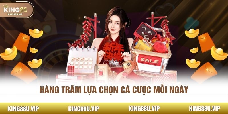 Hàng trăm lựa chọn cá cược mỗi ngày