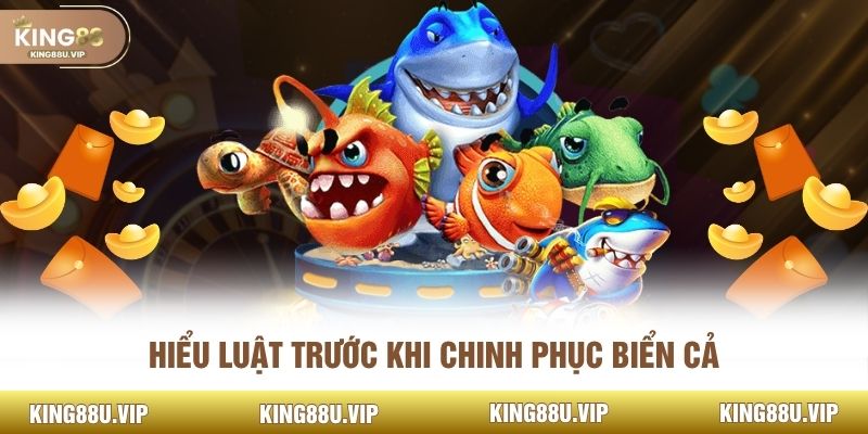 Hiểu luật trước khi chinh phục biển cả